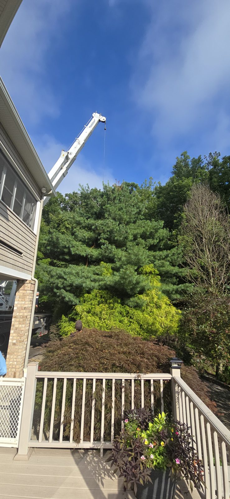 Crane boom raised beside a two-story home.